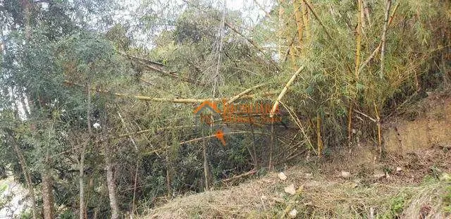 Imagem Terreno à venda, 1434 m² por R$ 287.500,00 - Água Azul - Guarulhos/SP