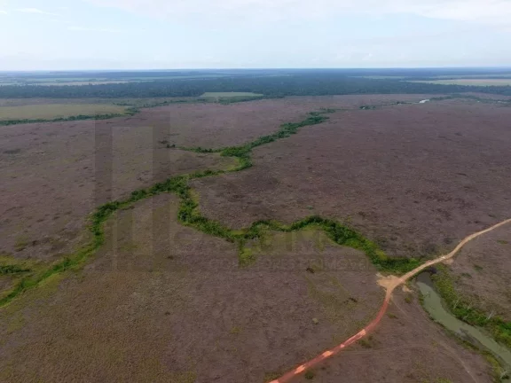 Imagem CASAL IMÓVEIS VENDE FAZENDA EM PARAGOMINAS 700 ALQUEIRES