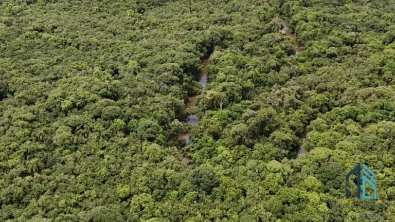 Imagem Área com 10 alqueires divisa com Rio Verde em Campo Largo - PR