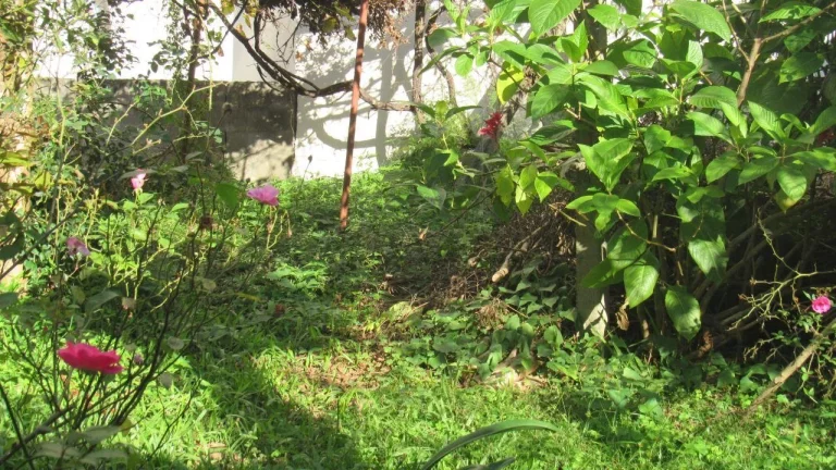 Imagem Terreno para Venda em Concórdia, Centro