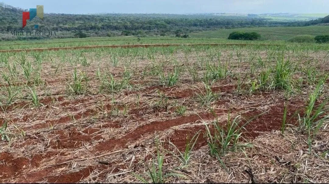 Imagem Fazenda a venda São Carlos SP