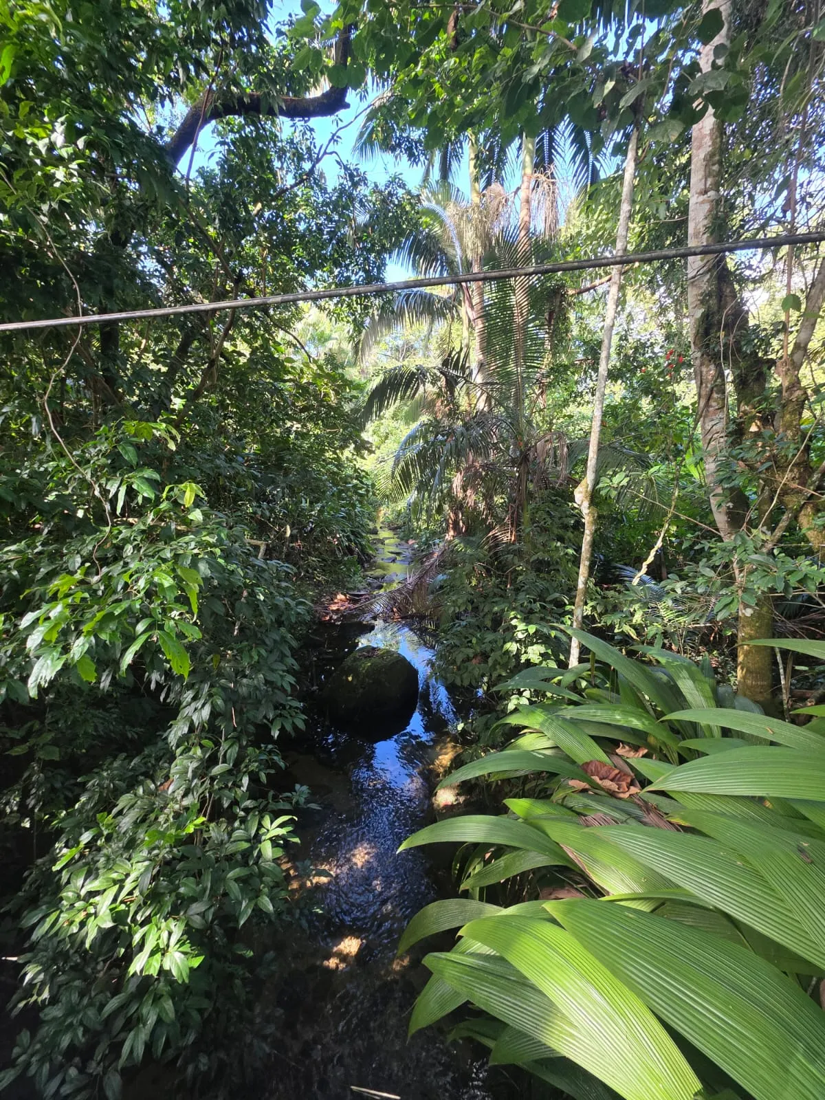 Imagem Charmosa Casa em condomínio no Park Imperial em Caraguatatuba