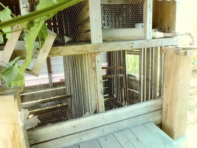 Imagem Chácara para Venda em Taquara / RS no bairro Fazenda Fialho