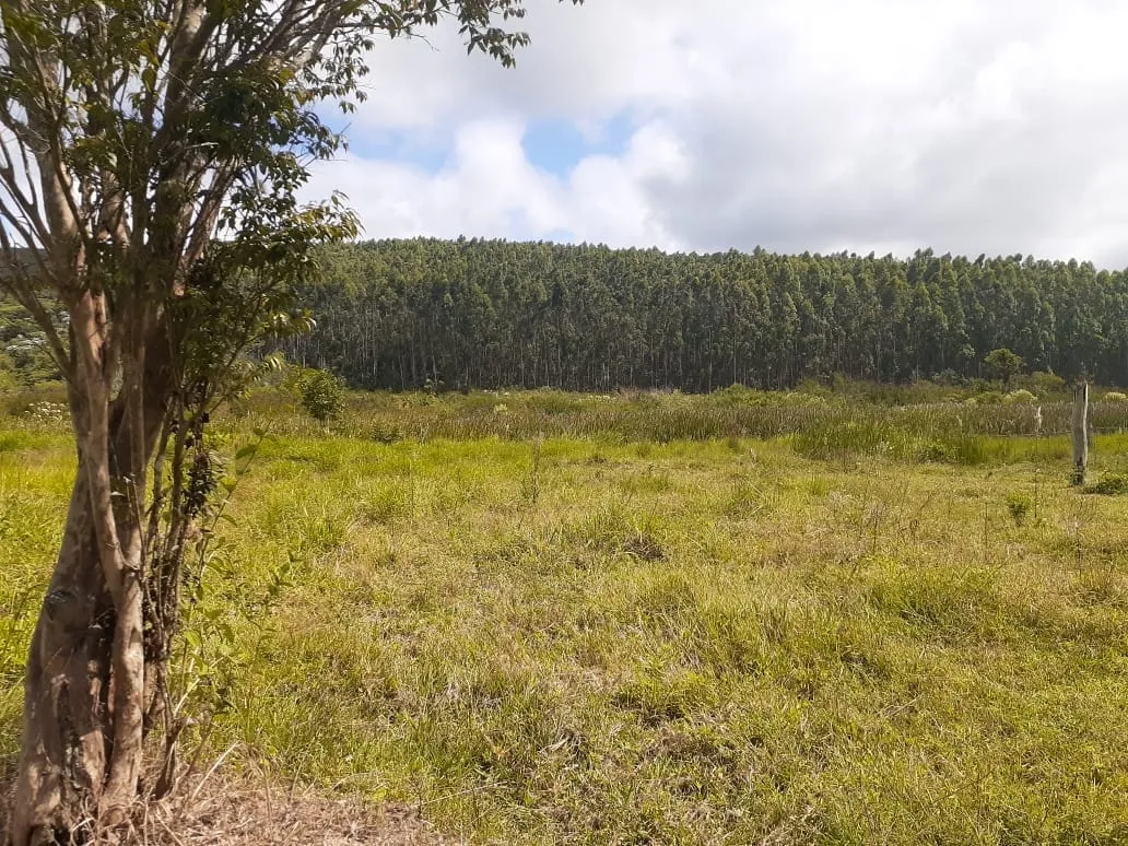 Imagem Chácara à venda 1700000M², Centro, São Luiz do Paraitinga - SP