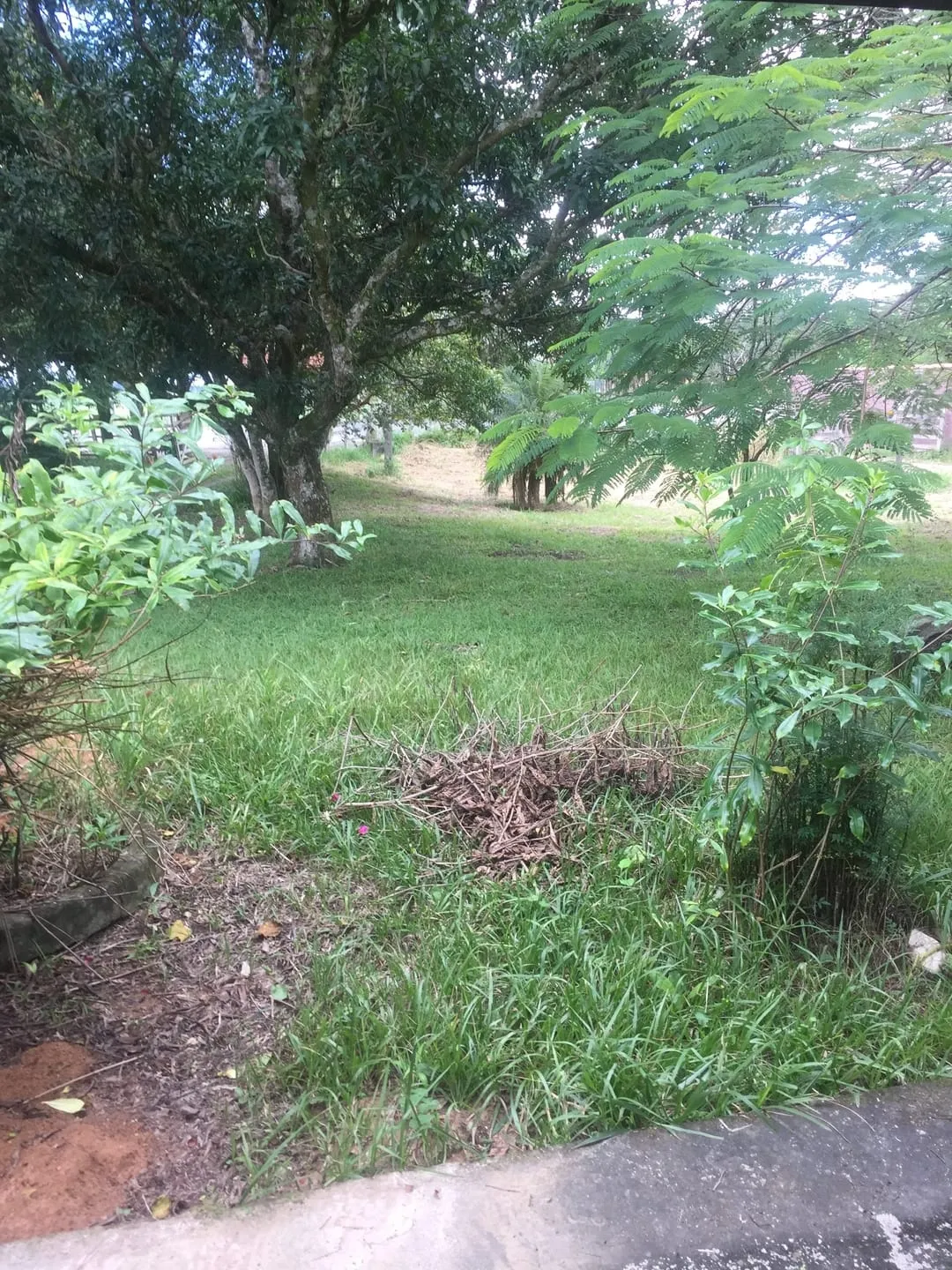 Imagem Chácara à venda 4 Quartos, 1 Suite, 4 Vagas, 3100M², Ribeirão Grande, Pindamonhangaba - SP