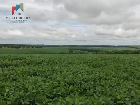 Imagem Fazenda região Itapetininga SP