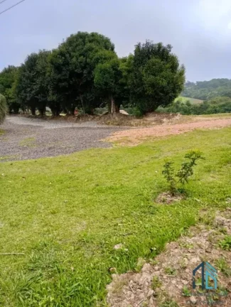 Imagem Área para plantio, bem localizada, asfalto na frente próximo a tudo em São José dos Pinhais PR