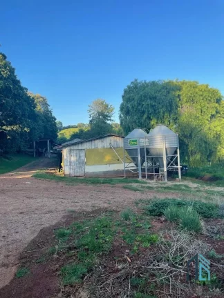 Imagem Sítio lindo a venda em ótima localização linha União da Serra em Guaraniaçu - PR