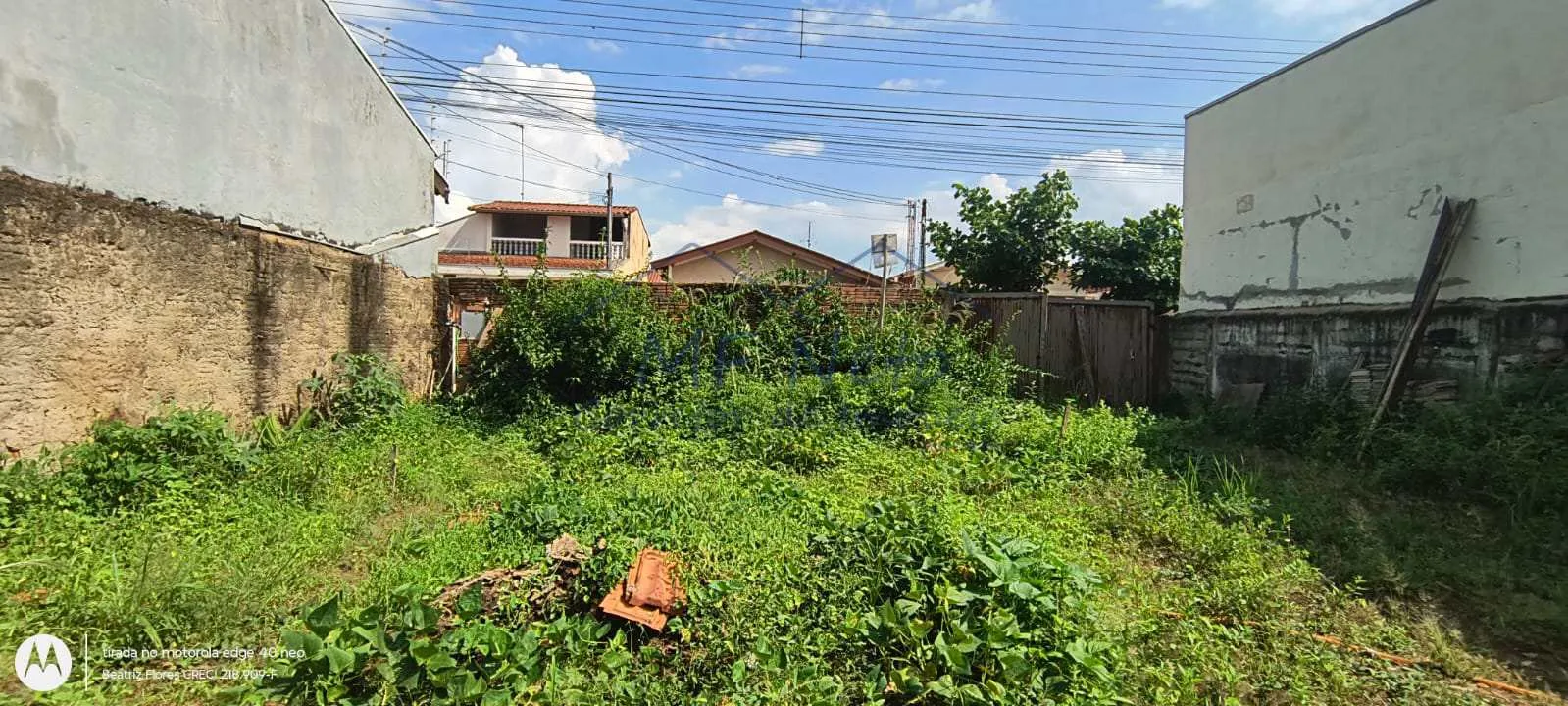 Imagem Terreno Padrão