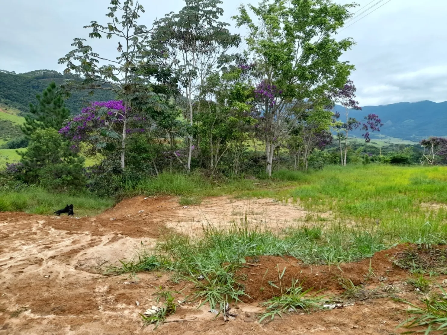 Foto do imóvel Terreno à venda 10000M², Mandú, Pindamonhangaba - SP