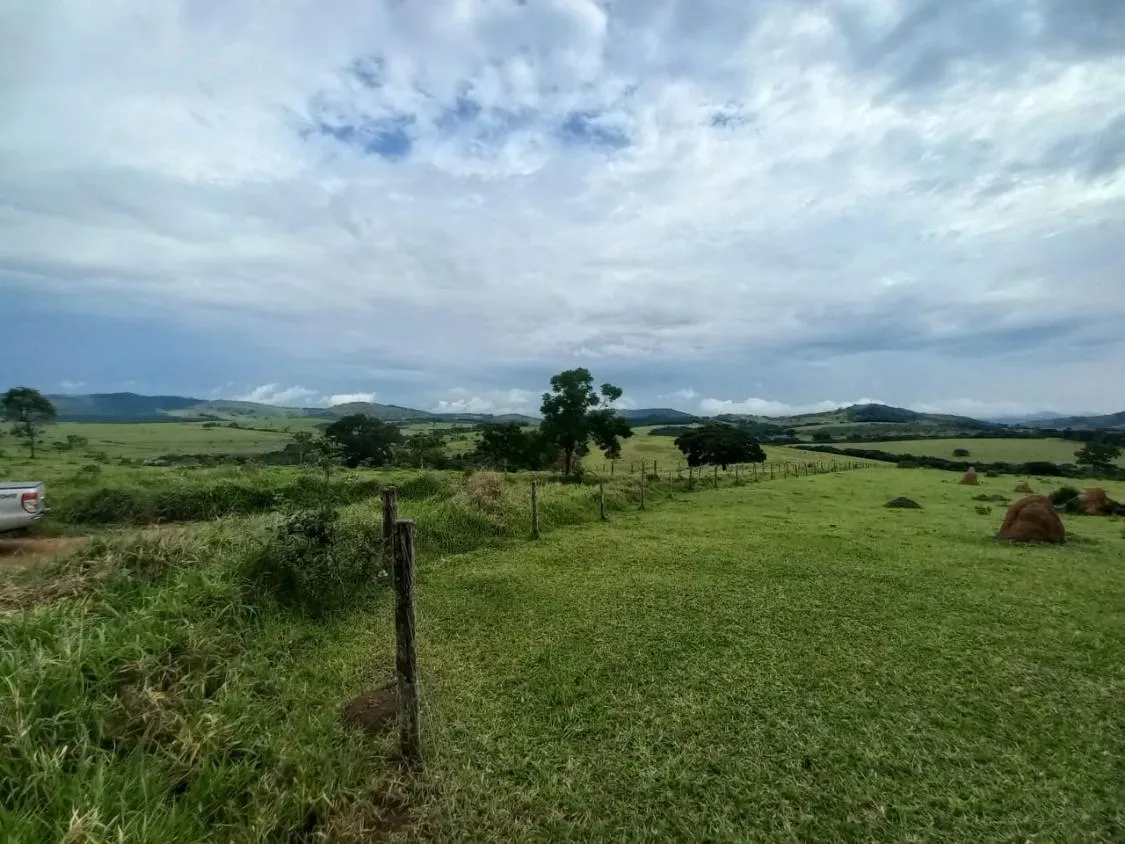 Imagem FAZENDA DE ALTO PADRÃO À VENDA - SUL DE MINAS 1.488 hectares de área total