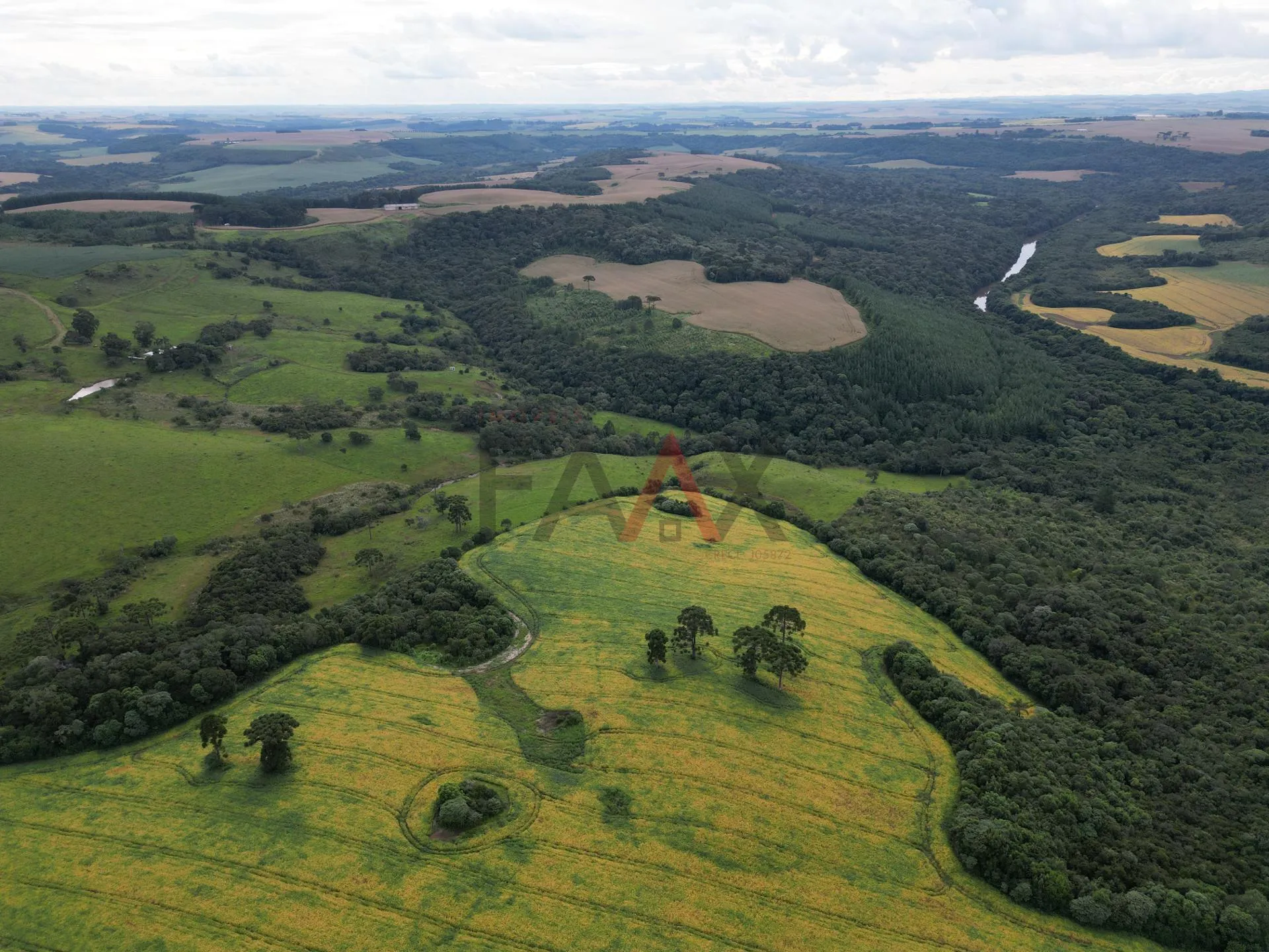 Imagem Chácara com 1.210.000,00m as margens da BR-277 em GUARAPUAVA - PR