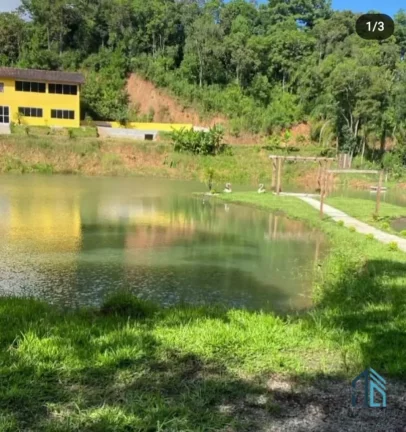 Imagem Chácara c/casa, área de: 20.000 mil m², asfalto na frente, no Palmitalzinho em Quatro Barras Pr