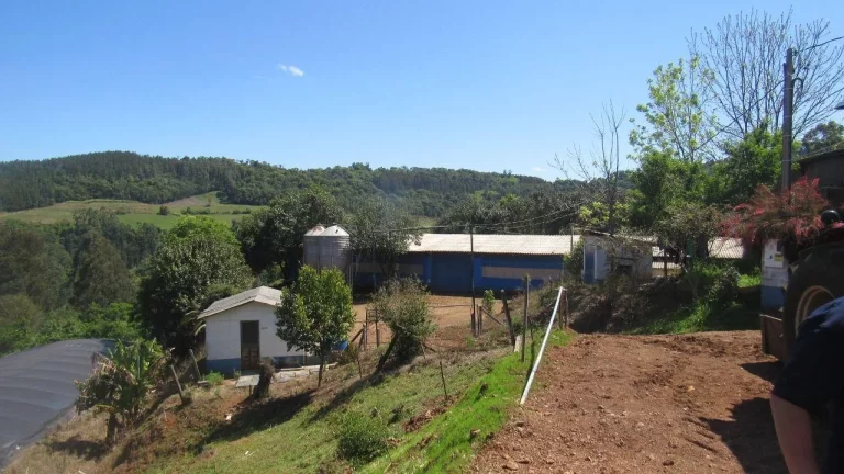 Imagem Área Agrícola para Venda em Arabuta, Rural