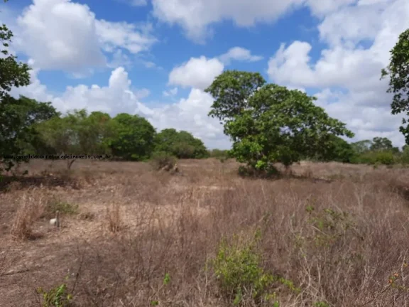 Imagem Granja para Venda em Macaíba, Centro