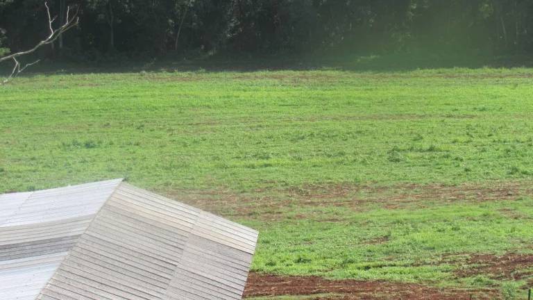 Imagem Área Agrícola para Venda em Concórdia, Interior