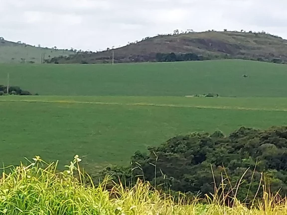 Imagem Incrível Fazenda Oliveira MG 280 hectares!
