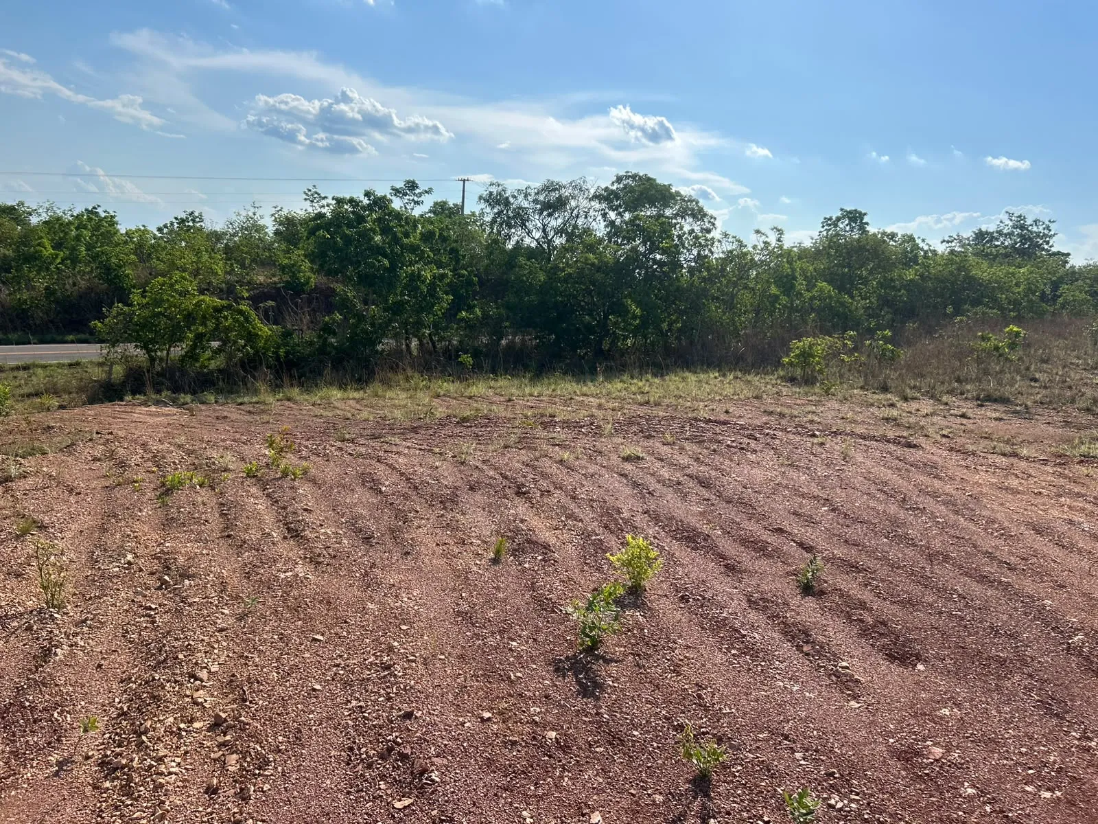 Imagem Terreno na estrada do manso