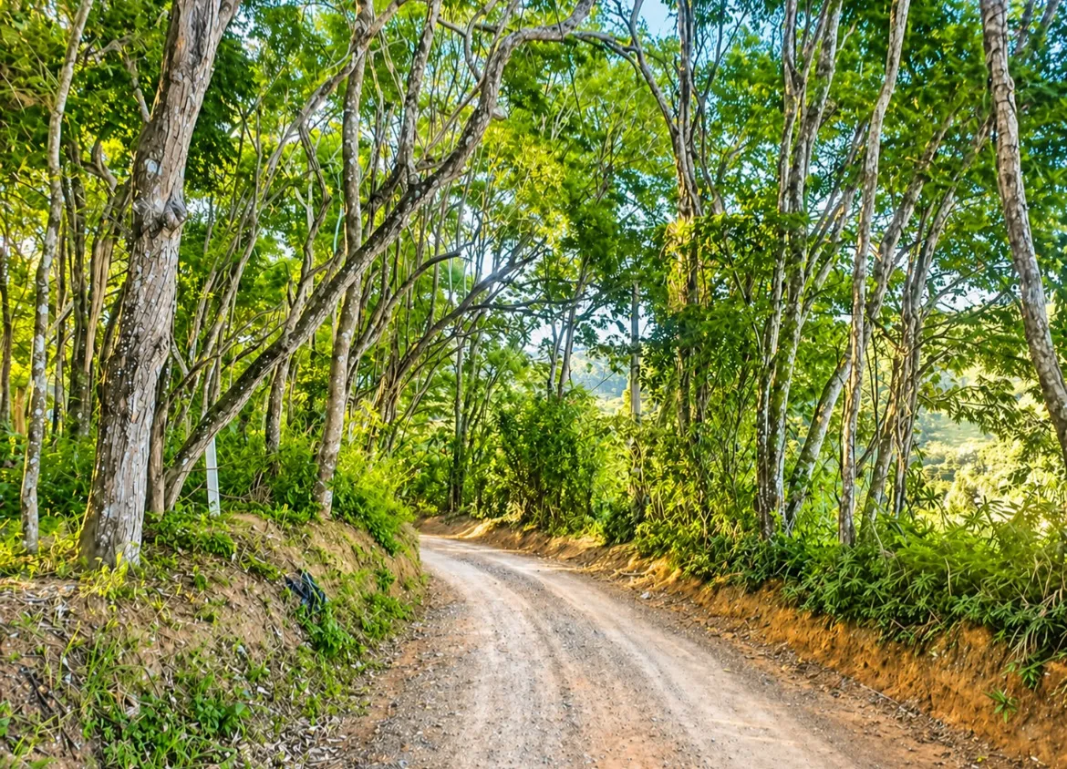Foto do imóvel Oportunidade Única R$ 120.000,00 - Terreno 1000m² Piedade/SP em Ortizes, Piedade - SP