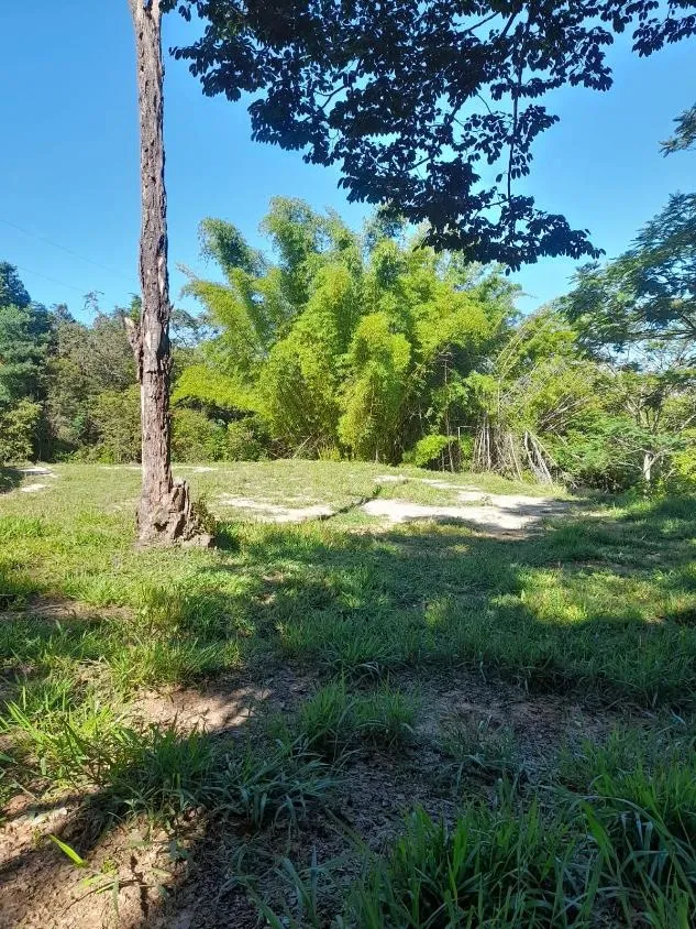 Imagem Vendo excelente sítio em Bonfim/MG ,com 9 hectares de área total (90.000 m²),