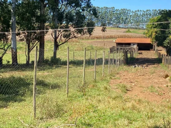 Imagem Sítio de 2 alqueires na região de Guarei/SP.