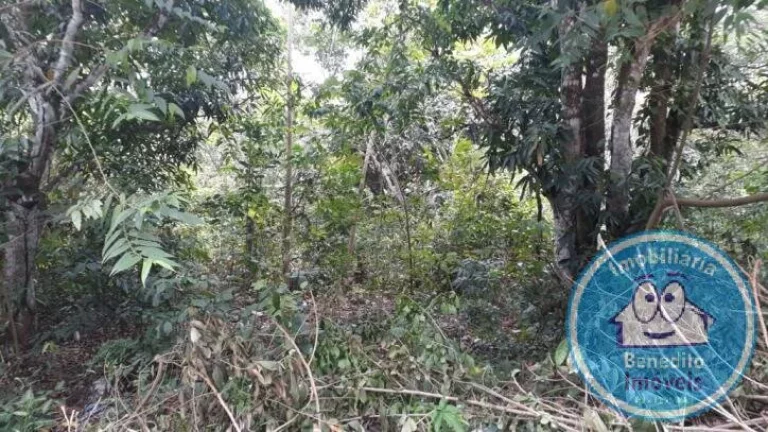 Imagem Vendo excelentes terrenos no centro de Trancoso, litoral da Bahia.