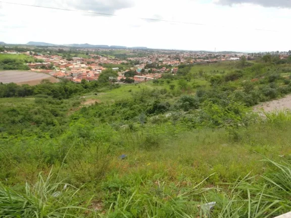 Imagem Ótimo investimento Área fica no início da Rodoviária Cornélio Pires, quase na Rotatória do cru...