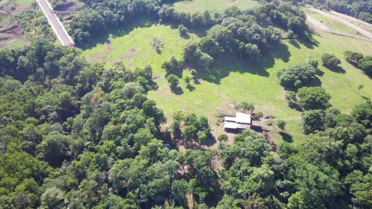 Área Agrícola para Venda em Arabuta, Centro em Albino Schimmelpeennig