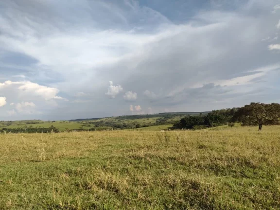 Imagem Sítio a VENDA, Avaí/SP, Área Rural, 10 alqueires