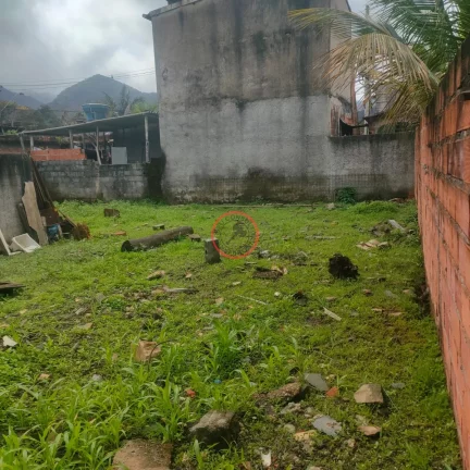 Imagem TERRENO A VENDA NO SERTÃO DO PIAVÚ COM UMA LOJA CONSTRUÍDA JÁ NA LAJE