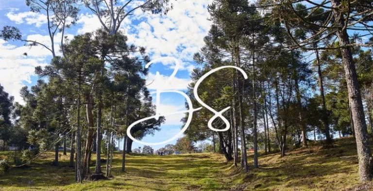 Imagem TERRENO RESIDENCIAL em SÃO FRANCISCO DE PAULA - RS, Centro