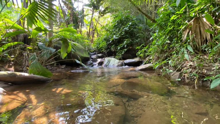 Imagem Casa com Vista Panorâmica e Cachoeira à Venda na Encantada em Garopaba-SC