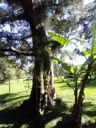 Imagem INVESTIDORES!!! Sítio com 8000m², entre as Praias de Itapuã e das Pombas
