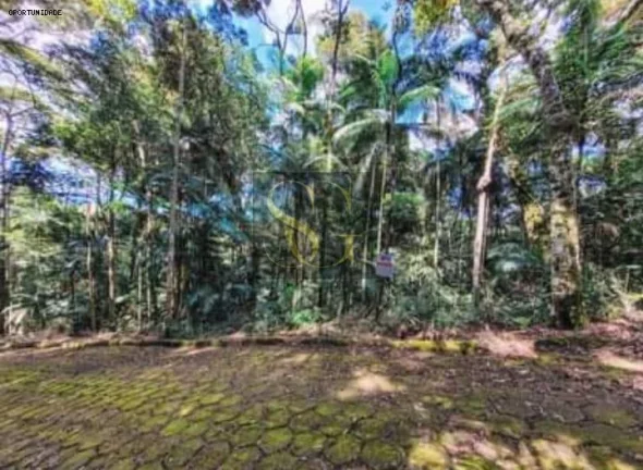 Foto do imóvel Terreno para Venda em Teresópolis, Prata
