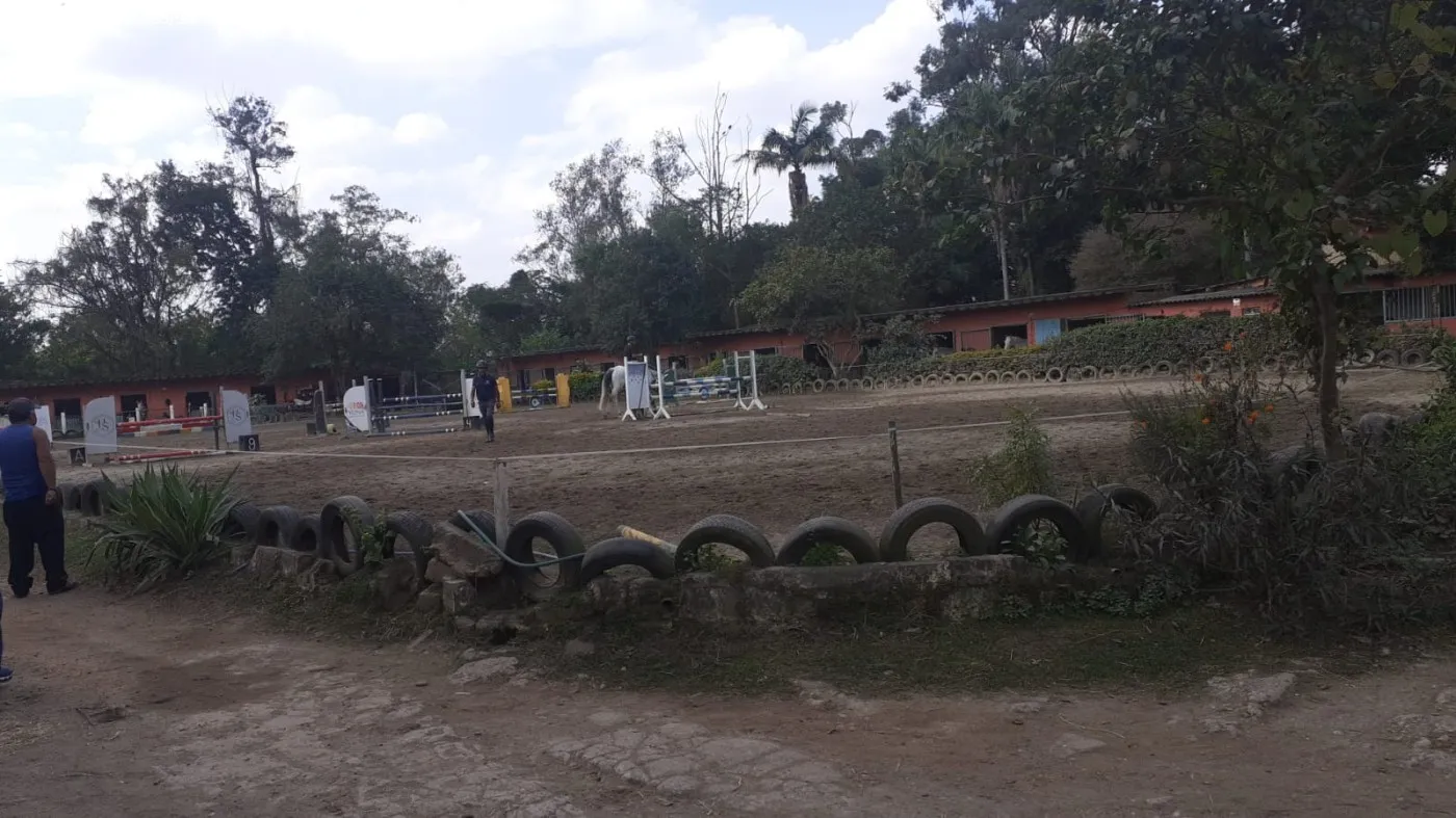 Imagem Haras para Venda em São Bernardo do Campo, Balneária