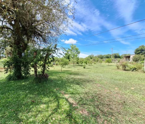 Imagem OPORTUNIDADE!!! Sítio 7.500m², Casa de madeira, Galpão, Pomar, Morro Grande
