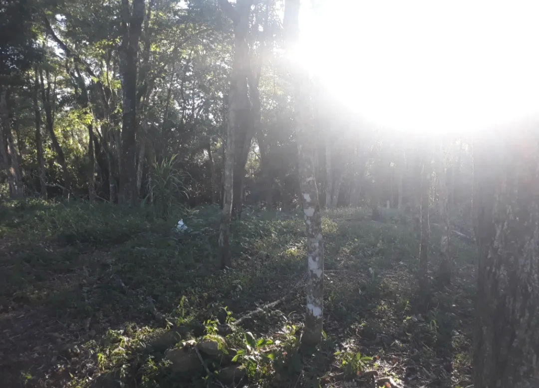 Imagem Oportuinidade Única!! Terreno em Piedade.