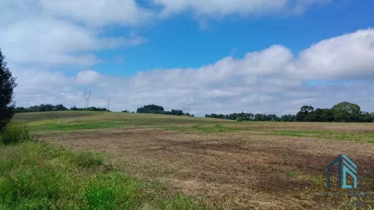 Foto do imóvel Sitio a venda 20 alqueires no Município de Pinhão - PR