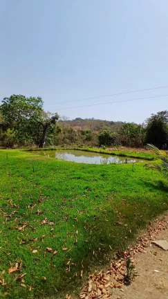 Imagem Chácara à venda em Goianésia/GO