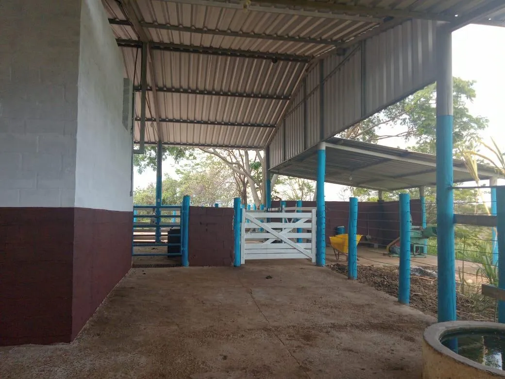 Imagem Vendo excelente fazendinha em Esmeraldas/MG 78 hectares de terra