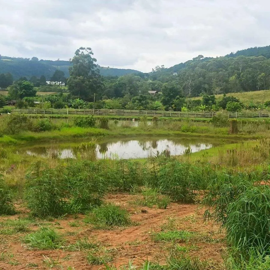 Imagem Chácara para Venda em Novo Hamburgo / RS no bairro Lomba Grande