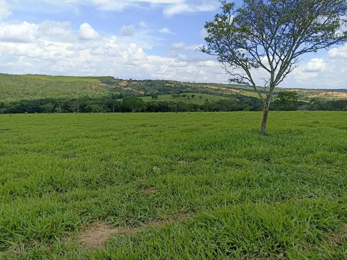 Imagem Terreno a venda de 24,3 hectares às margens do Rio Picão