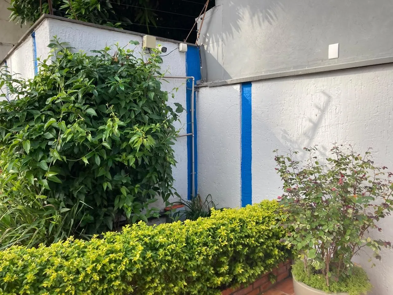 Imagem Apartamento em Menino Deus