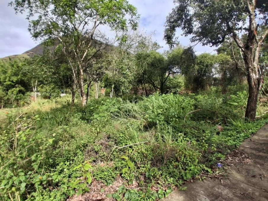 Imagem Terreno Terreno Urbano Maricá - RJ - Itaocaia Valley (Itaipuaçu)