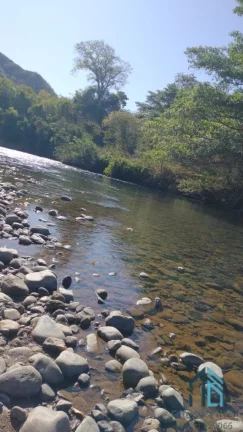 Imagem Fazenda a venda Oportunidade Única em Niquelândia Goiás- GO