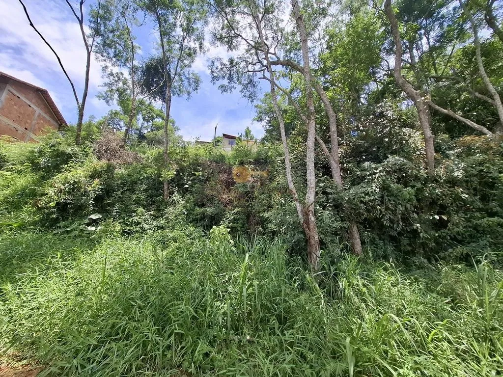 Imagem Terreno para Venda em Teresópolis / RJ no bairro Albuquerque
