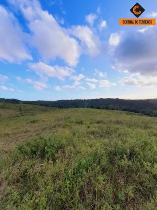 Imagem FAZENDA EM MATA DE SÃO JOÃO