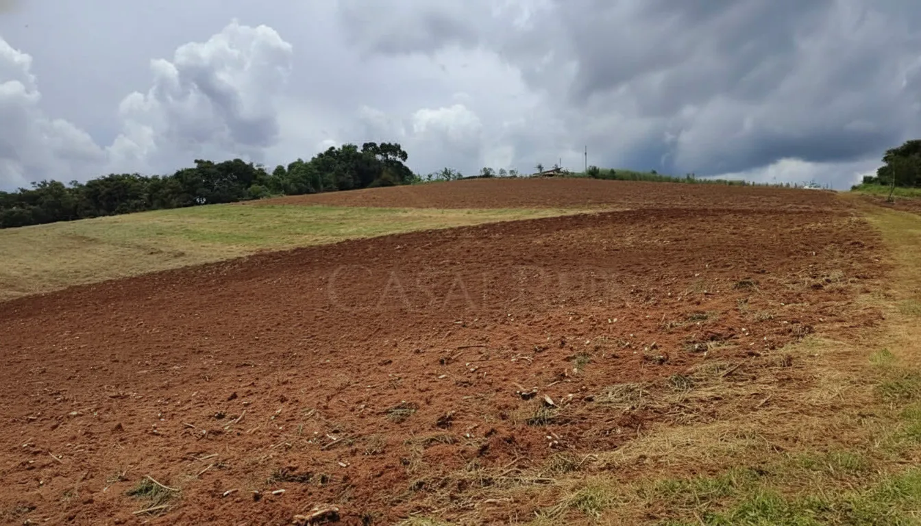 Imagem Sítio 7 m² à venda em Campininhas, Caldas