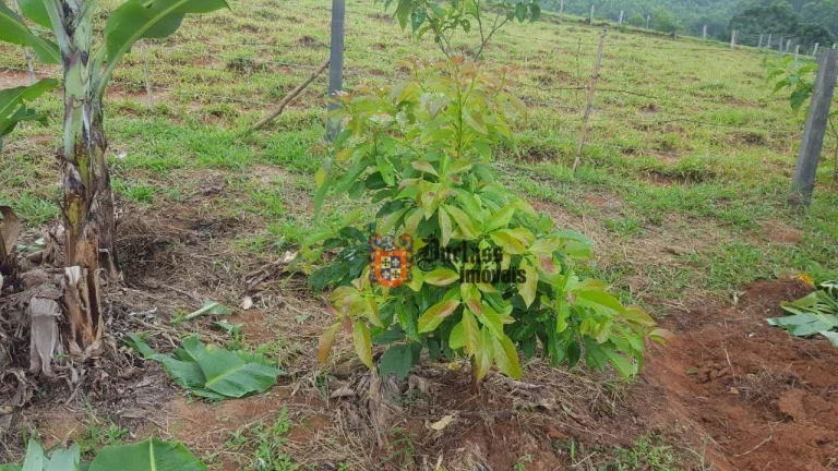 Imagem Chácara com 1 dormitório à venda, 12750 m² por R$ 750.000,00 - Toledo - Toledo/MG