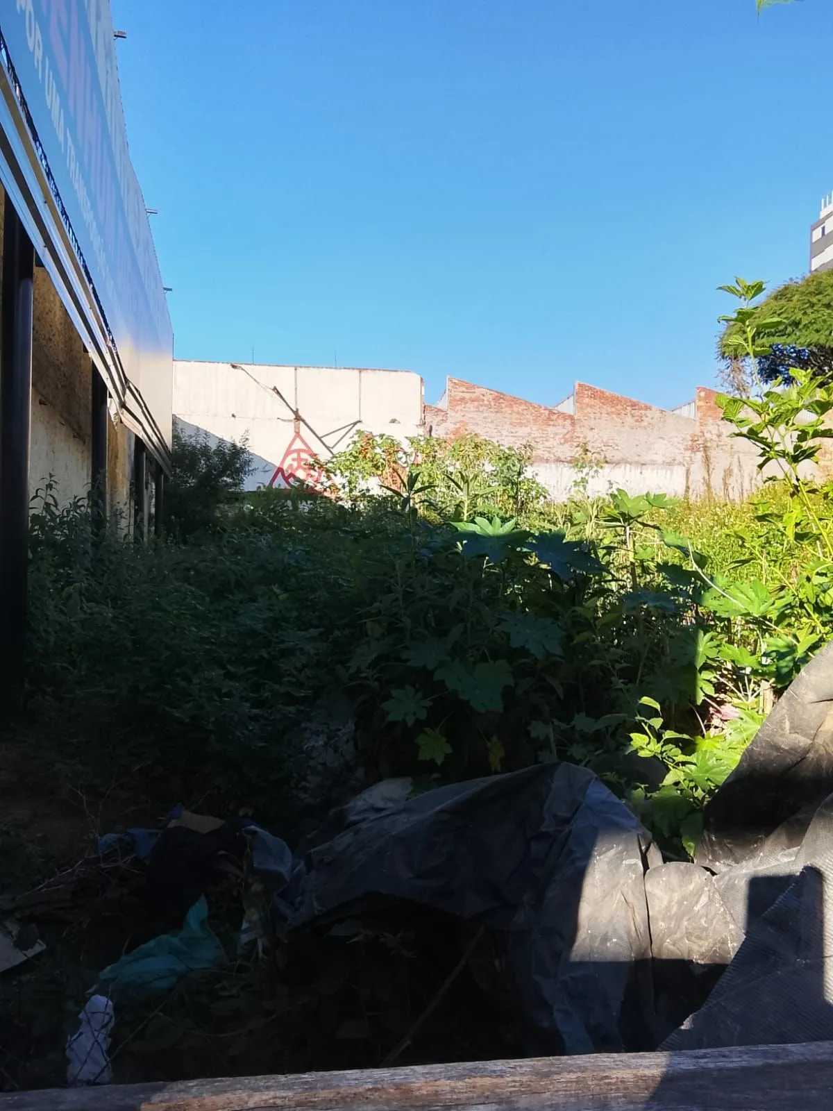 Imagem 4 Terrenos residencial ou comercial, com tapume na frente, desinpedido sem muros intermediários total de 1.126,81 m²